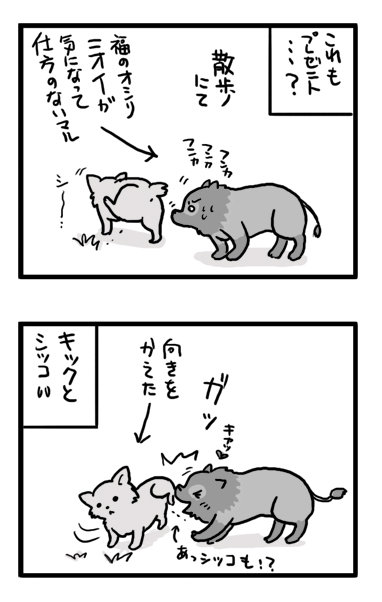 福　マル　ワンコ　誕生日　漫画