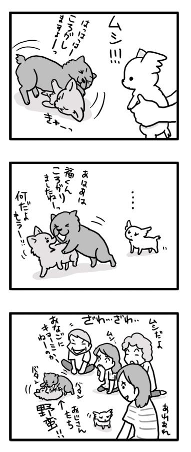 ベイビー　トク　小犬　マンガ　漫画