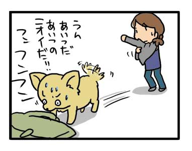 福　チワワ　返事　匂い　メッセージ　イラスト　絵　カット　犬