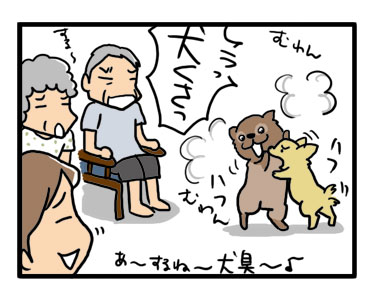 梅雨　犬　犬臭い　実家　福　マル　漫画　マンガ