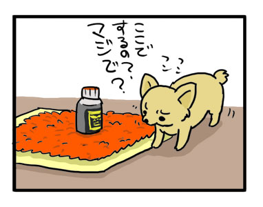 福　犬　トイレ　洗う　洗える　マット　安い　マイクロ　ファイバー　漫画　イラスト