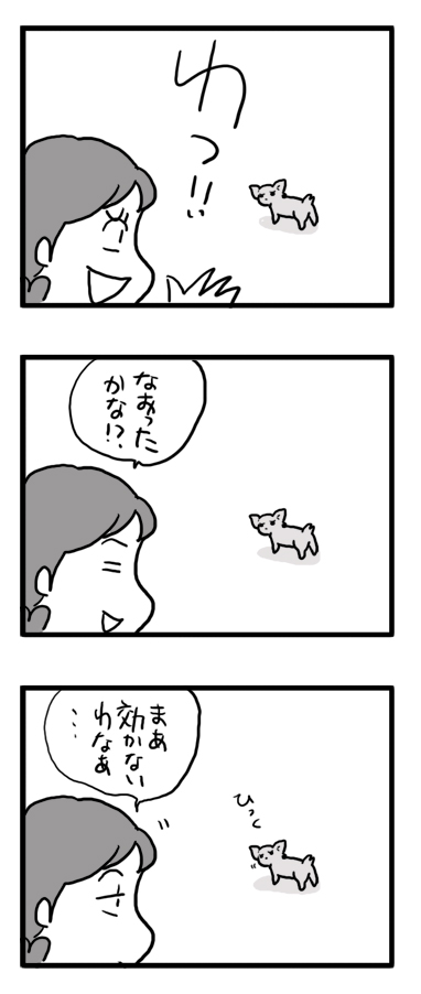犬　チワワ　シャックリ　マンガ　漫画