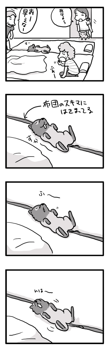 マル　狸寝入り　寝てる　ポメラニアン　漫画　マンガ