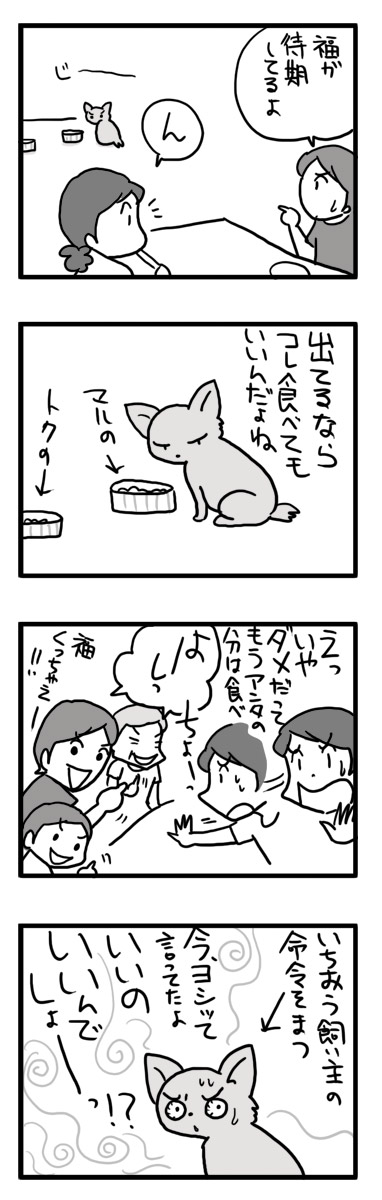 福　チワワ　ごはん　食いしん坊　くいしんぼう　漫画　マンガ