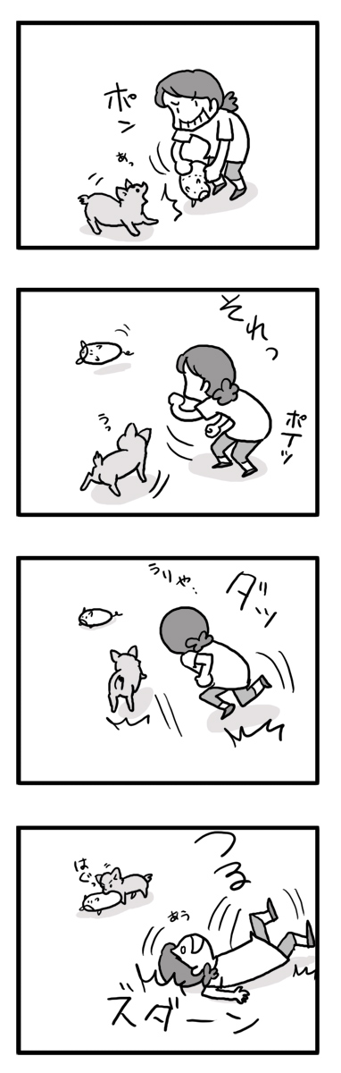 畳　タタミ　犬　遊び　コケ　転ぶ　漫画　マンガ