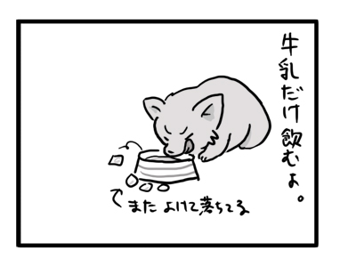 チワワ　福　ダイエット　寒天　カンテン　漫画　マンガ　犬