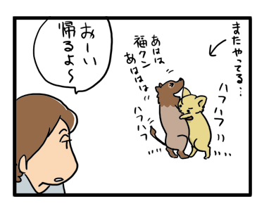 福　マル　犬　相撲　ポメ　チワワ　マンガ　漫画