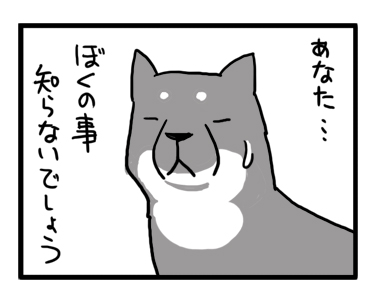 たっくん　黒柴　柴犬　マンガ　漫画