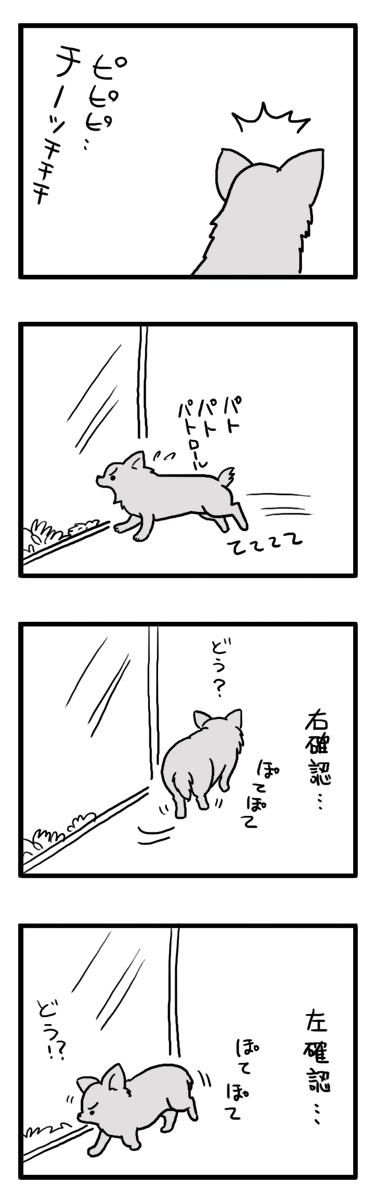 パトロール　小鳥　チワワ　福　マンガ　漫画
