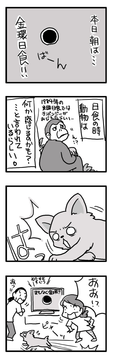 金環日食　反応　犬　動物　マンガ　漫画
