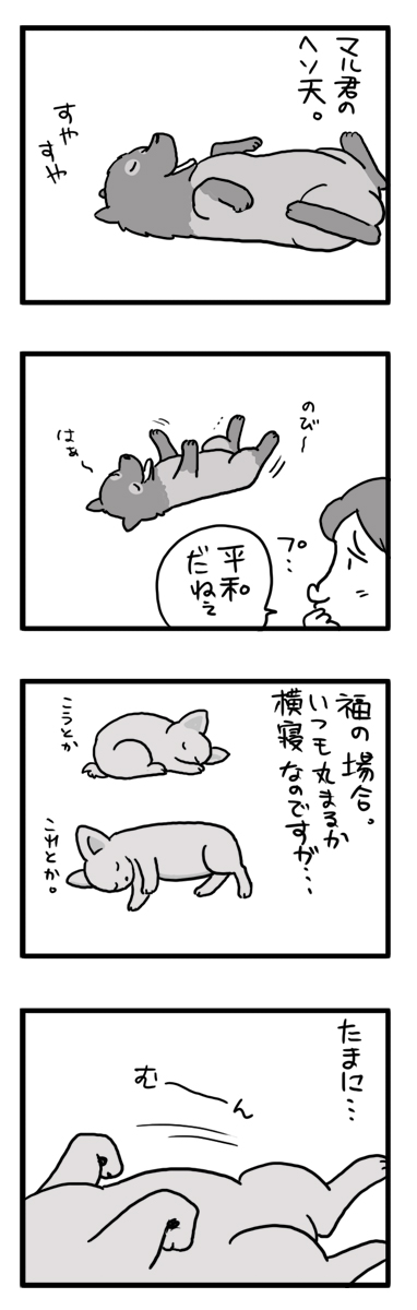 白目　シロメ　福　チワワ　漫画　マンガ