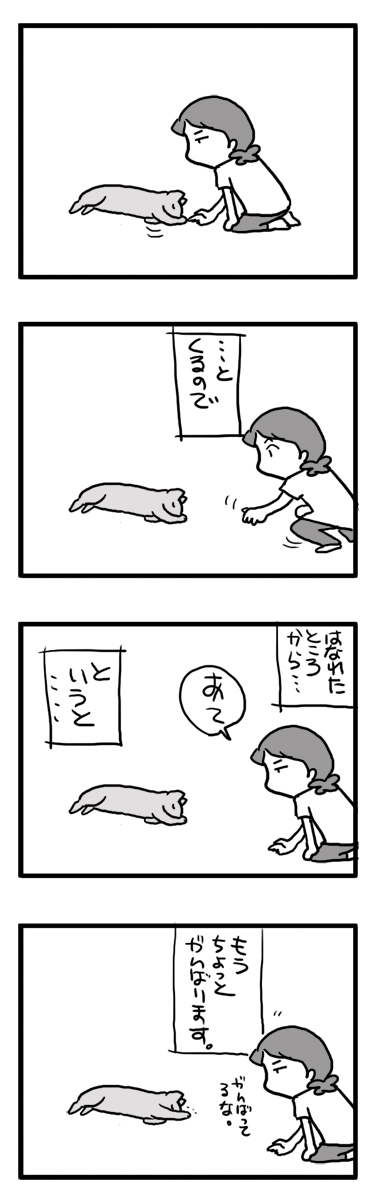 寝　お手　Chihuahua　福　マンガ　漫画