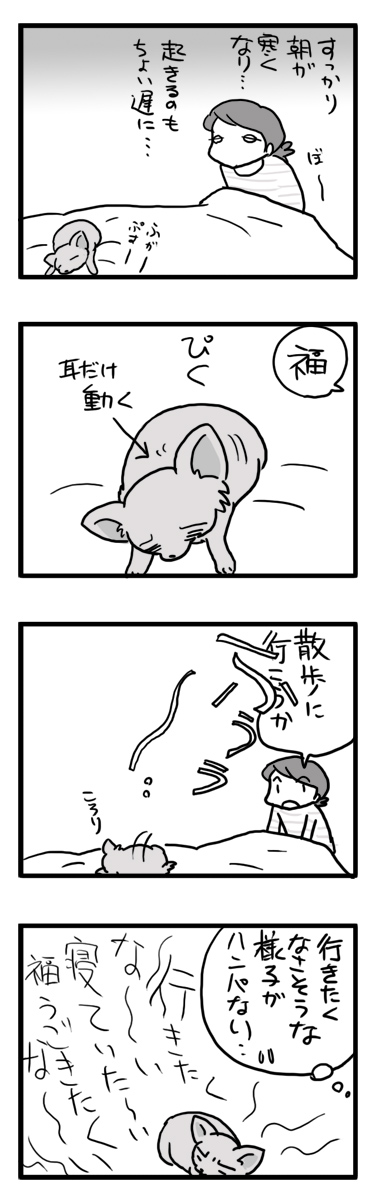 秋　早朝　寒い　散歩　犬　チワワ　福　マンガ　漫画