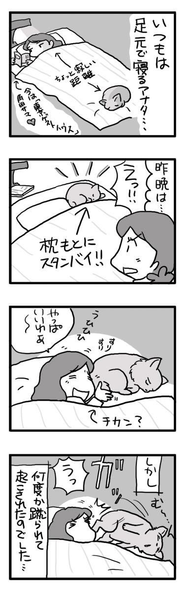 寝る　犬　チワワ　福　蹴られる　イビキ　一緒　マンガ　まんが　漫画