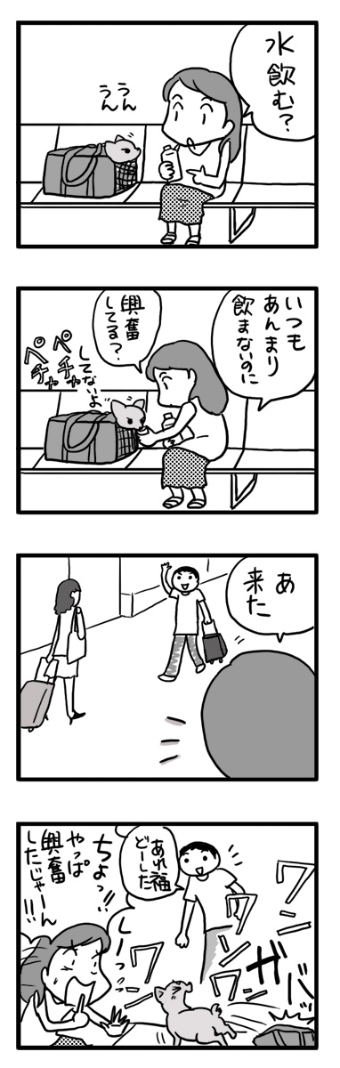 羽田空港　お迎え　犬　チワワ　ゲート　タワー　わんこ　まんが　漫画