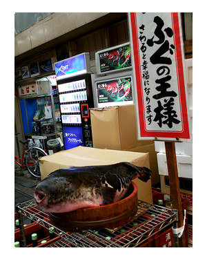 2016　年末　年始　大阪　犬　食　名物　