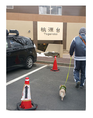 箱根　犬　連れ　旅館　ホテル　温泉　ペット　宿泊　漫画　マンガ　イラスト