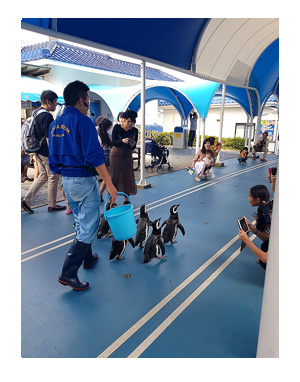 石川　バイク　ツーリング　能登島 のとじま　のどじま　水族館　シッター　ペット　犬　チワワ　老犬　旅行　ペット　預　家　