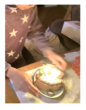 誕生日　中学生　男子　可愛い　ケーキ　マカロン　動物　チョコ　けーき　cake.jp